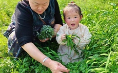 黄到让你那里滴水的